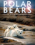 Polar.Bears_.A.Summer.Odyssey-125x160